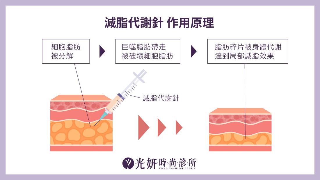 減脂代謝針 圖片 2